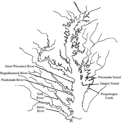 History of the Virginia Oyster Fishery, Chesapeake Bay, USA